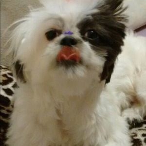 Meet your Posher, Bruna